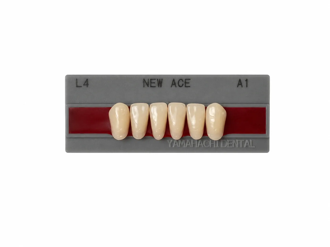 Dente Yamahachi NEW ACE — Anterior Inferior L4