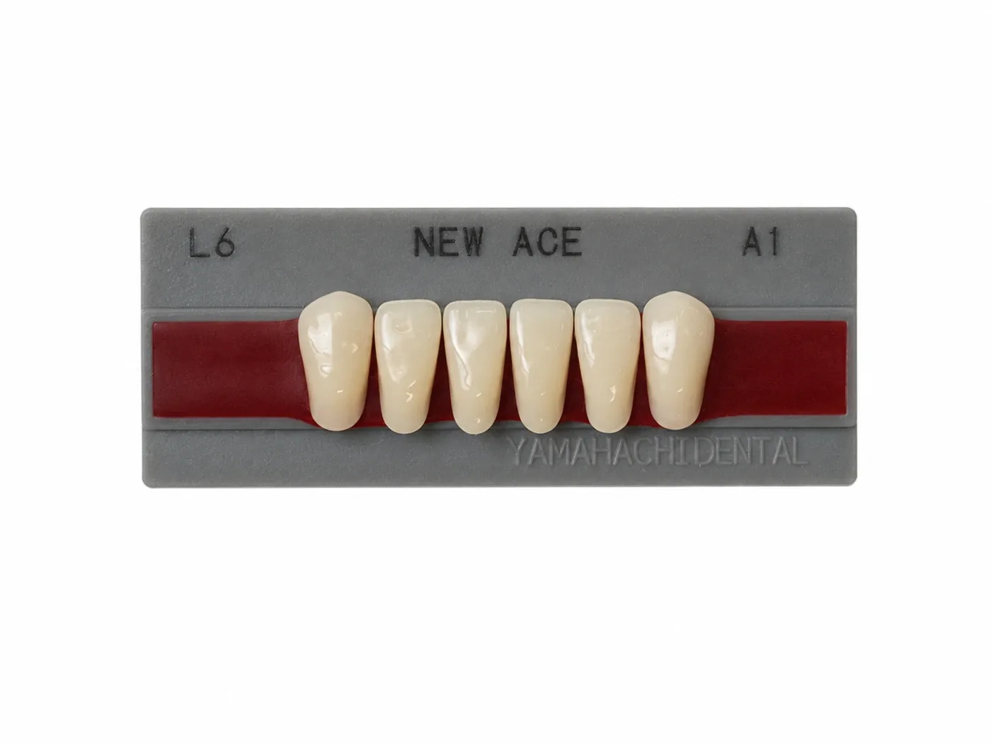 Dente Yamahachi NEW ACE — Anterior Inferior L6