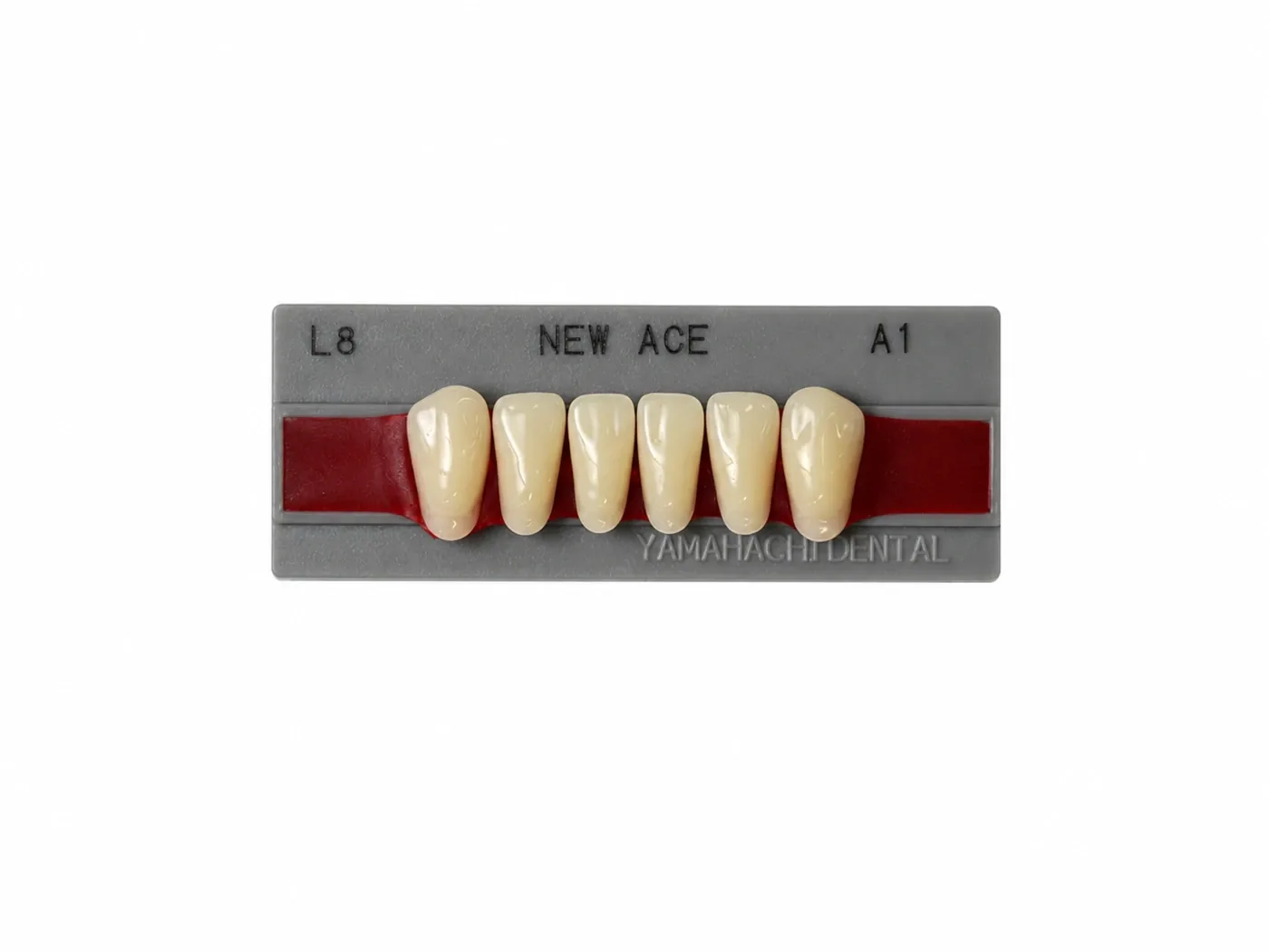Dente Yamahachi NEW ACE — Anterior Inferior L8