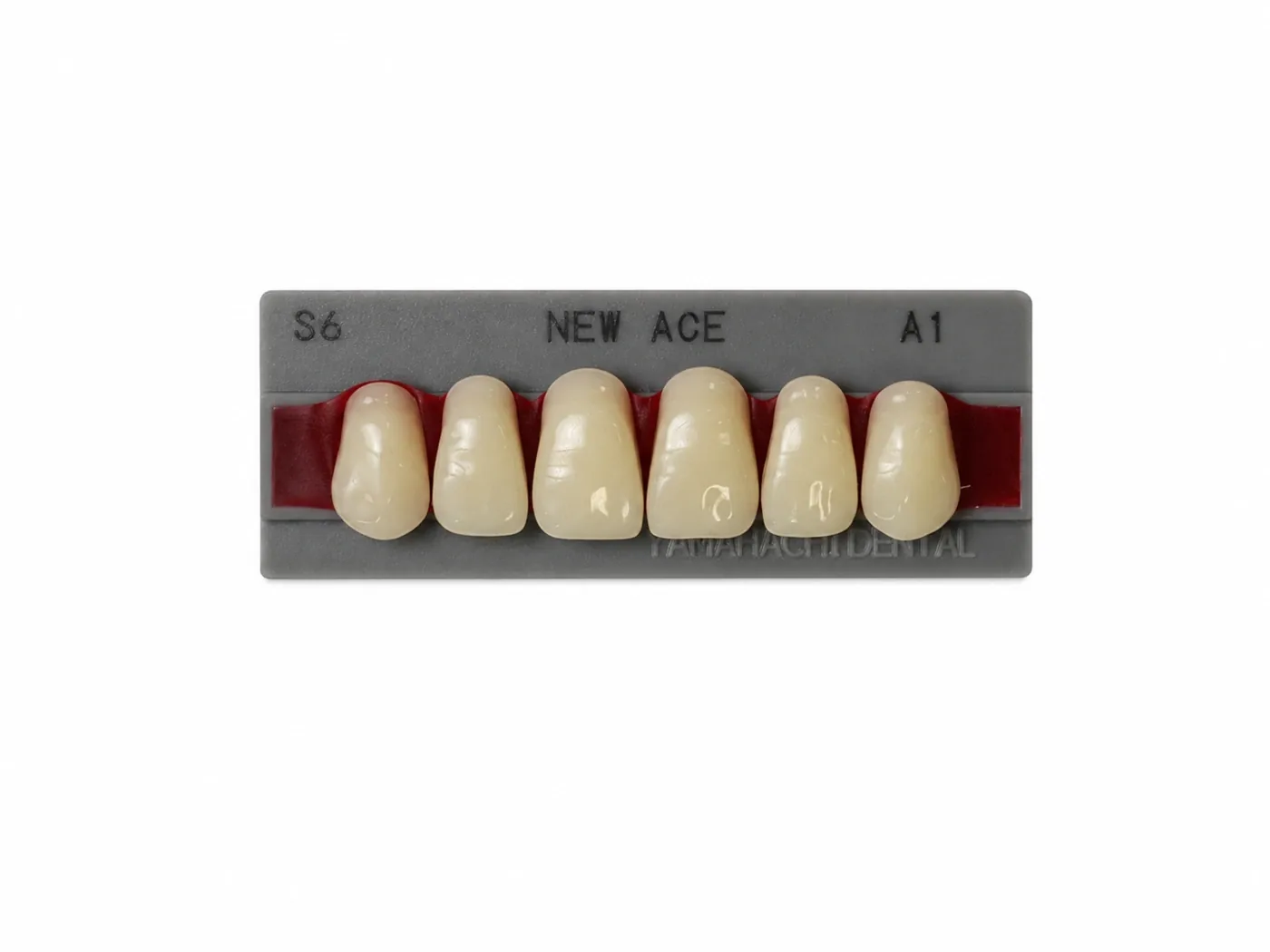 Dente Yamahachi NEW ACE — Anterior Superior S6
