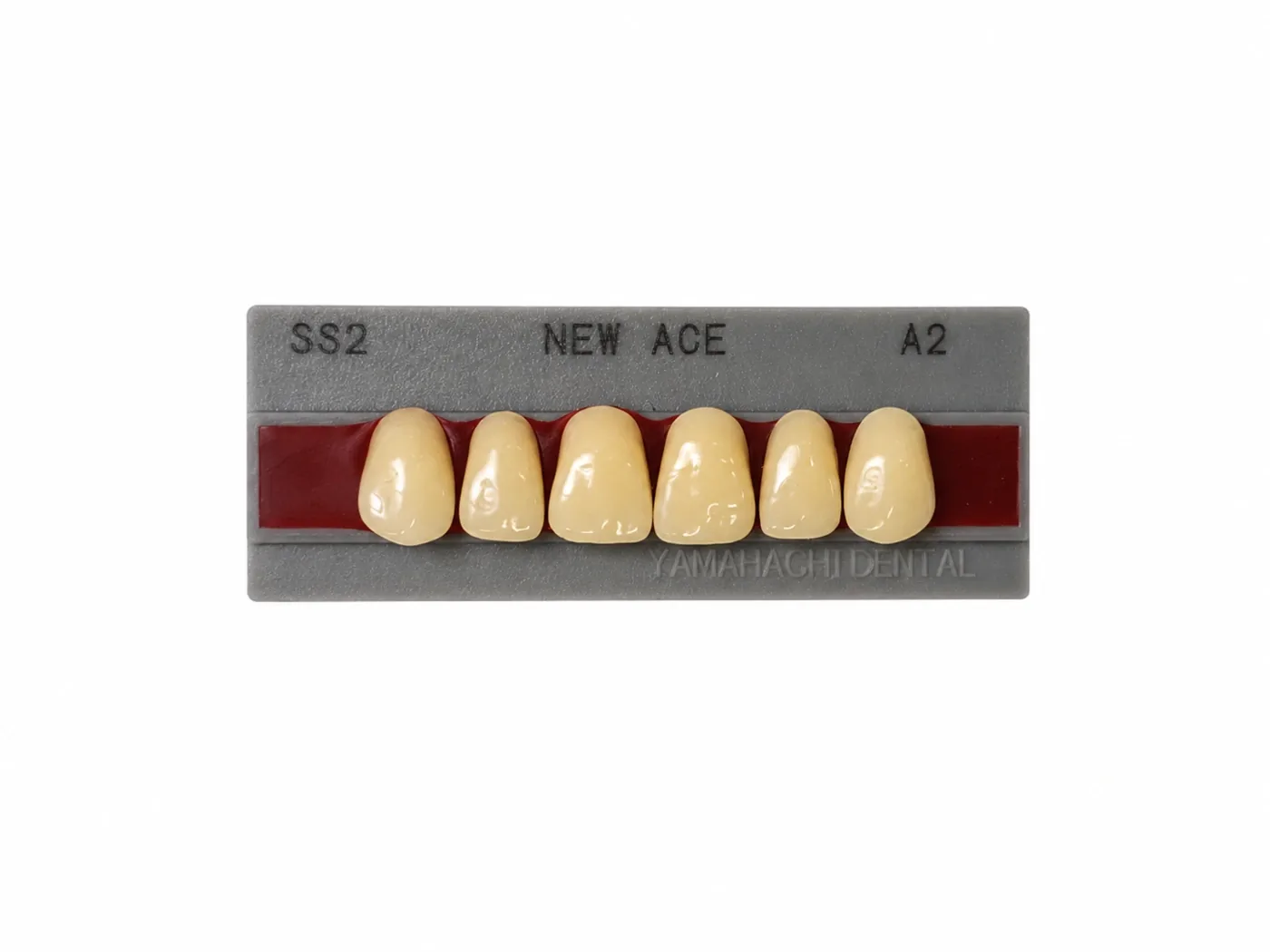 Dente Yamahachi NEW ACE — Anterior Superior SS2