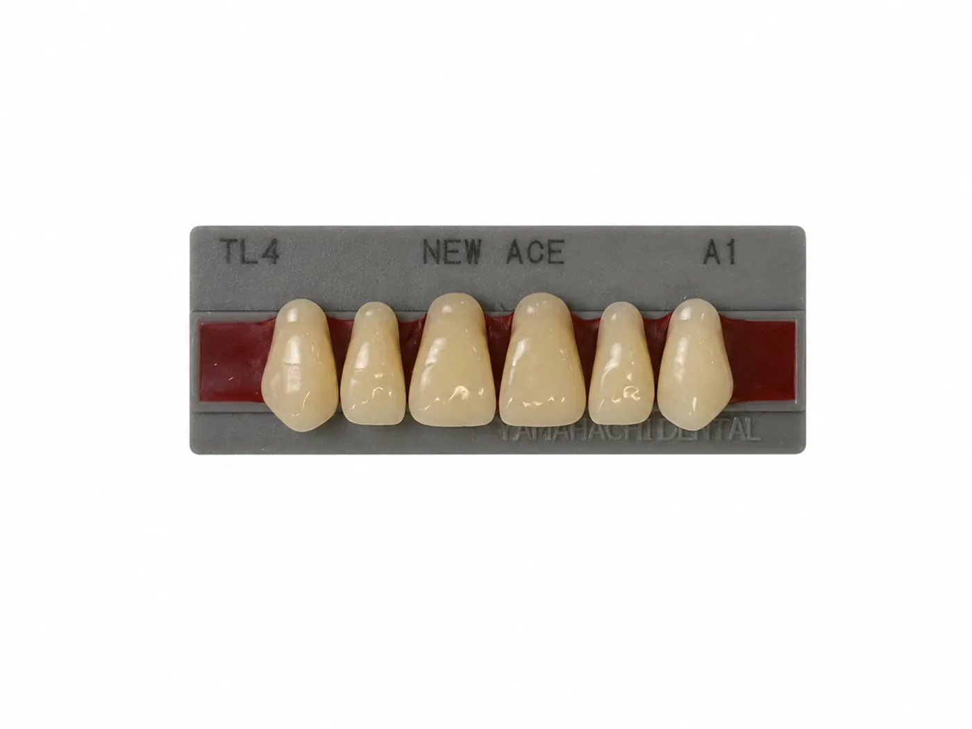 Dente Yamahachi NEW ACE — Anterior Superior TL4