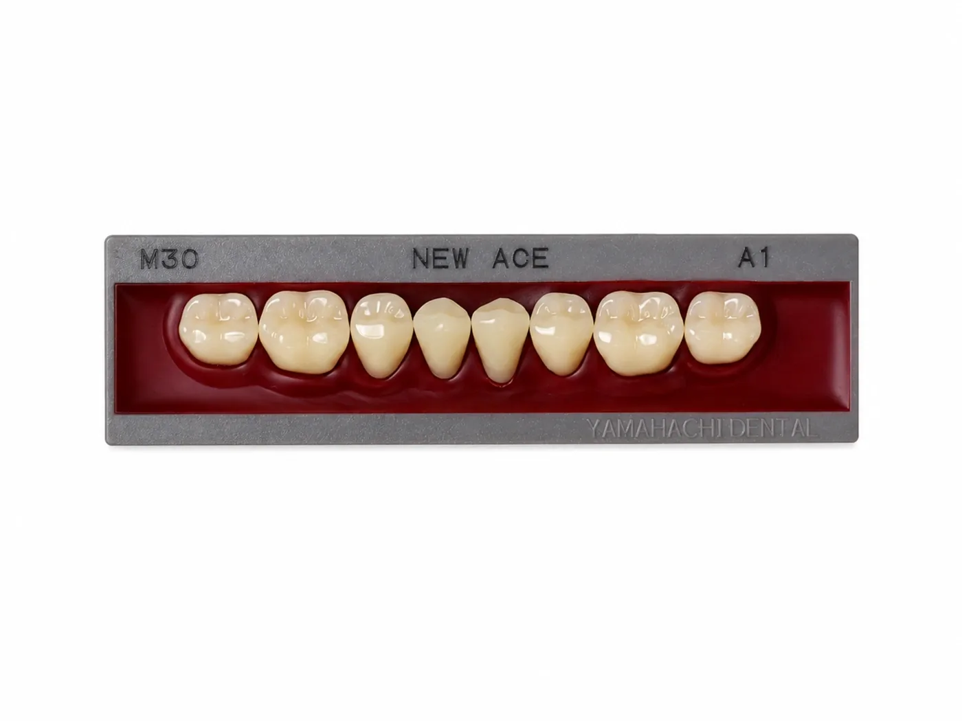 Dente Yamahachi NEW ACE — Posterior Inferior M30L