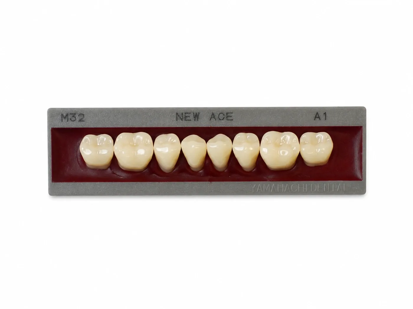Dente Yamahachi NEW ACE — Posterior Inferior M32L