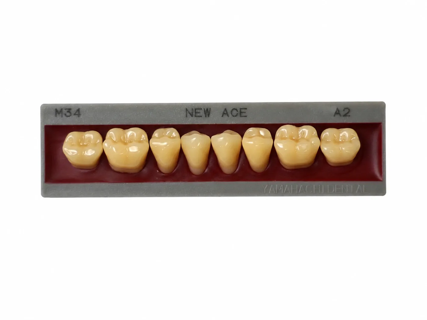 Dente Yamahachi NEW ACE — Posterior Inferior M34L