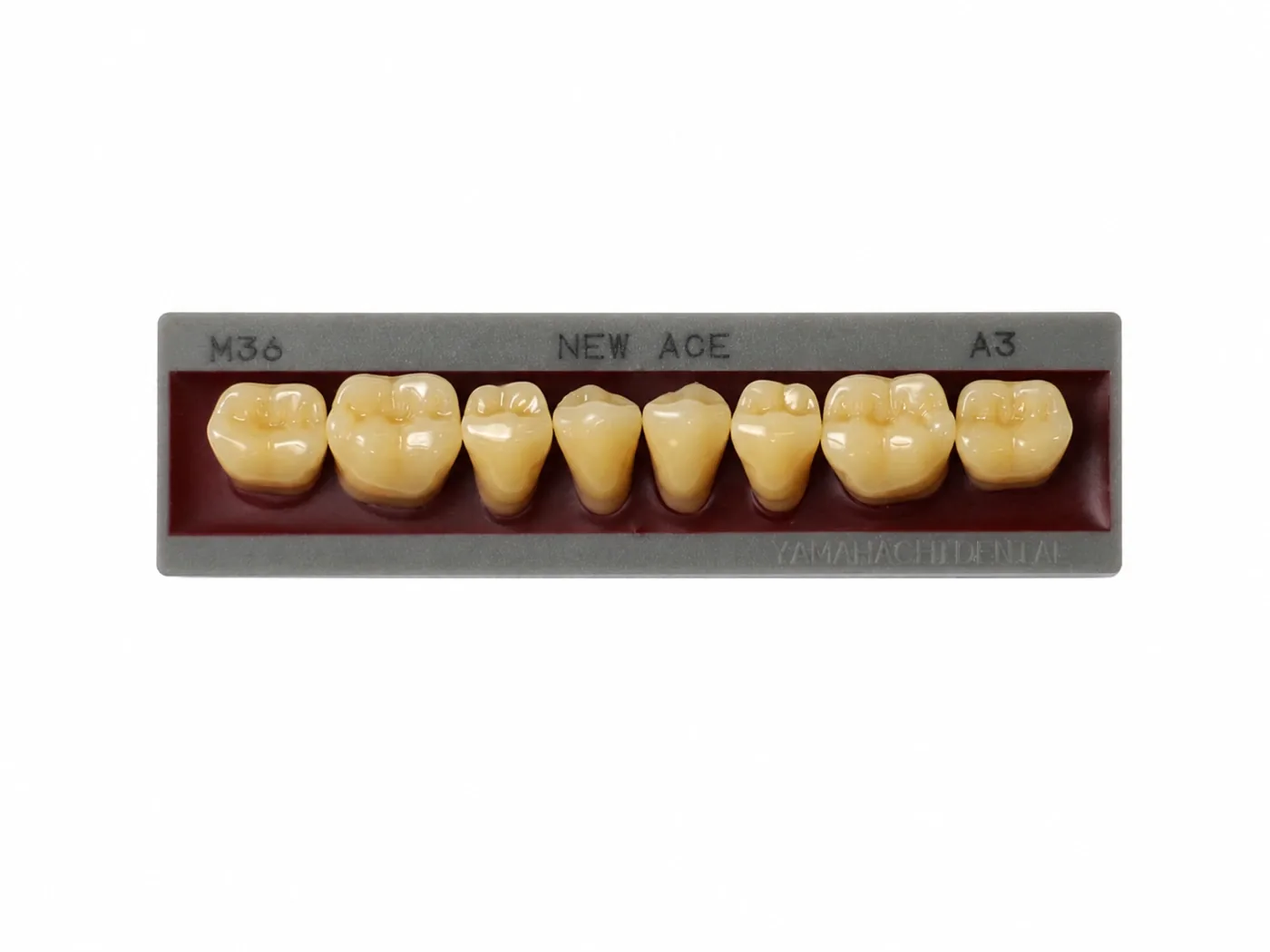Dente Yamahachi NEW ACE — Posterior Inferior M36L