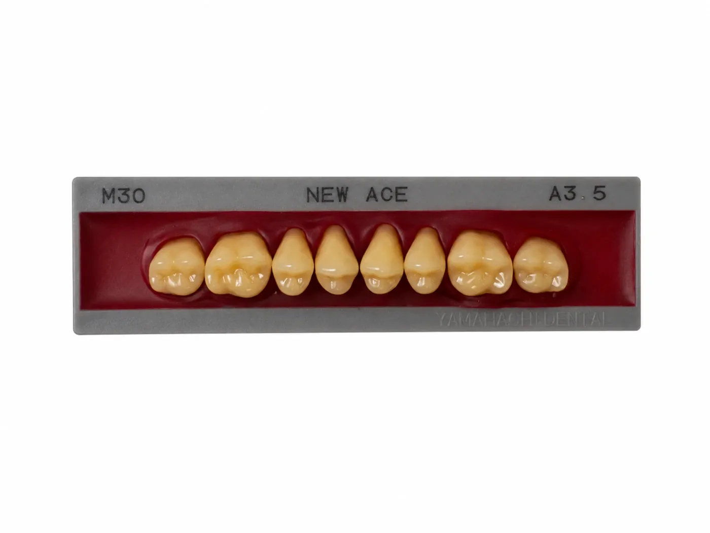 Dente Yamahachi NEW ACE — Posterior Superior M30U
