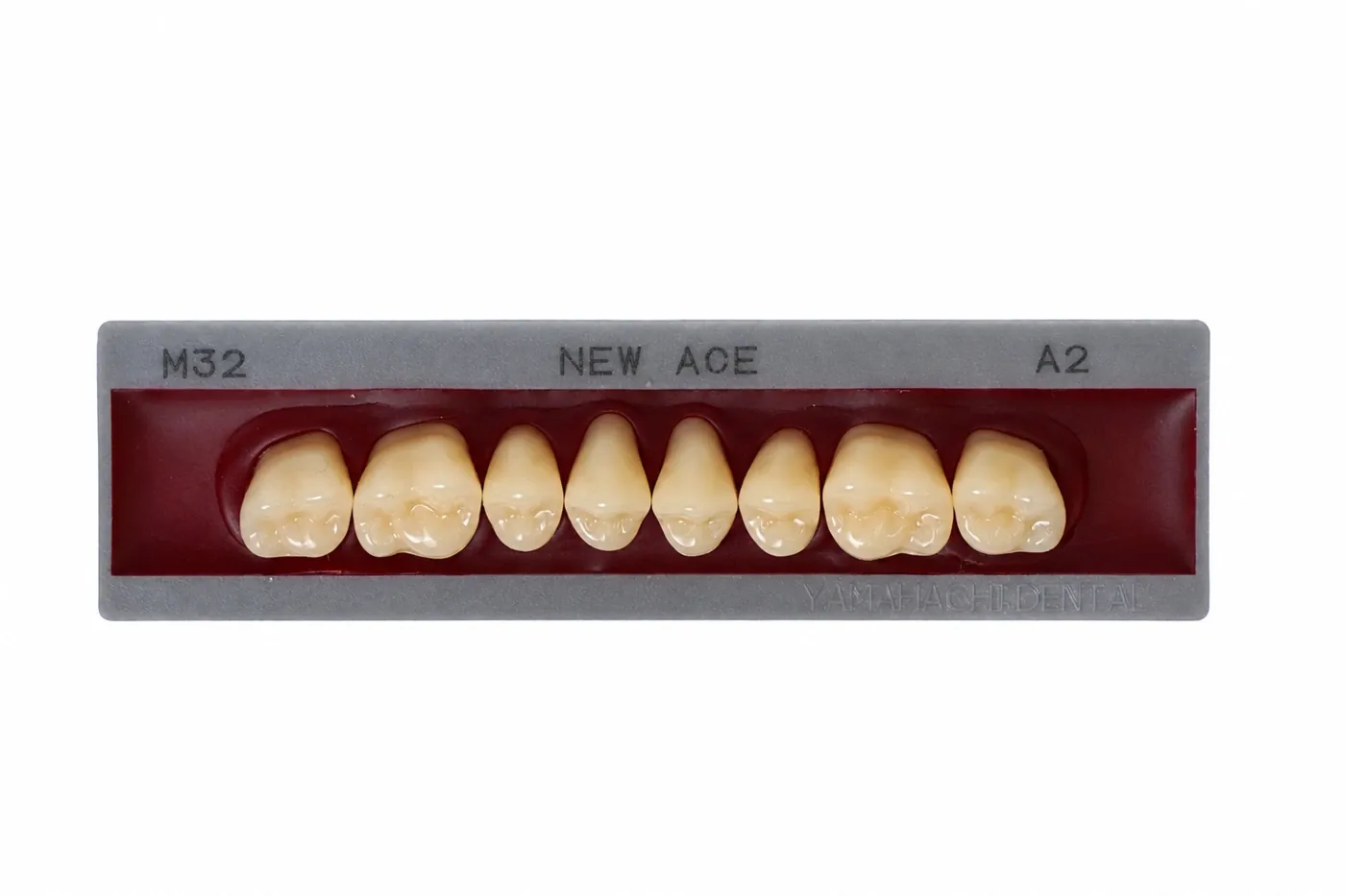Dente Yamahachi NEW ACE — Posterior Superior M32U