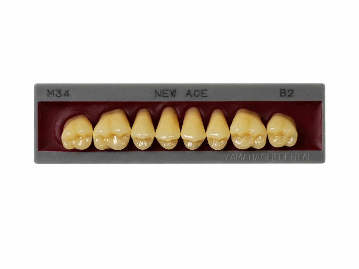 Dente Yamahachi NEW ACE — Posterior Superior M34U