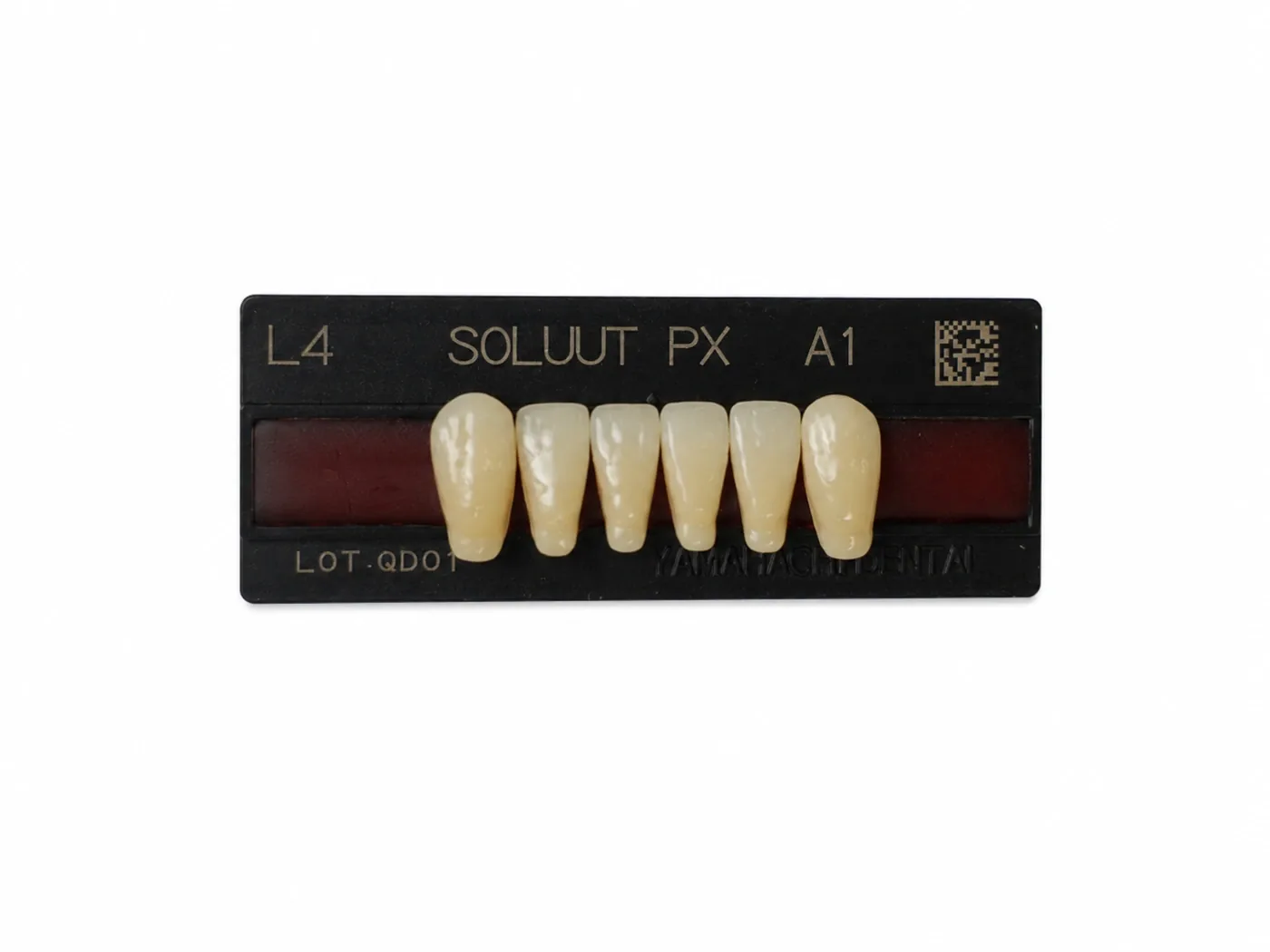 Dente Yamahachi Soluut — Anterior Inferior L4