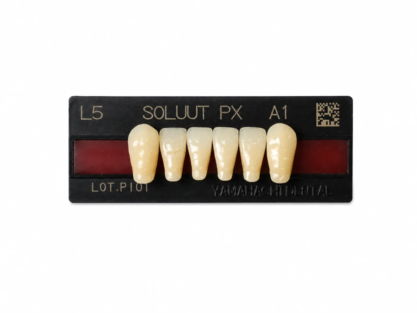 Dente Yamahachi Soluut — Anterior Inferior L5