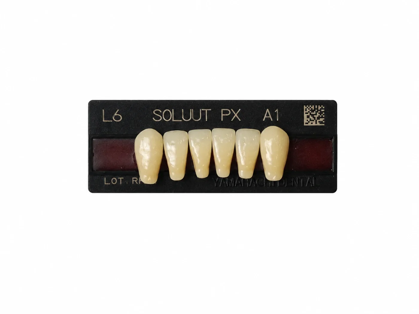 Dente Yamahachi Soluut — Anterior Inferior L6