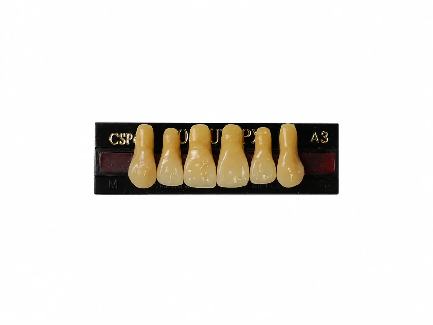 Dente Yamahachi Soluut — Anterior Superior CSP4