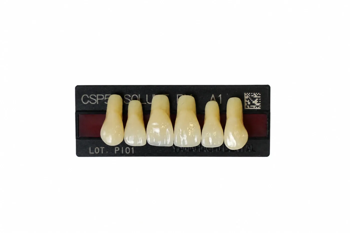 Dente Yamahachi Soluut — Anterior Superior CSP5