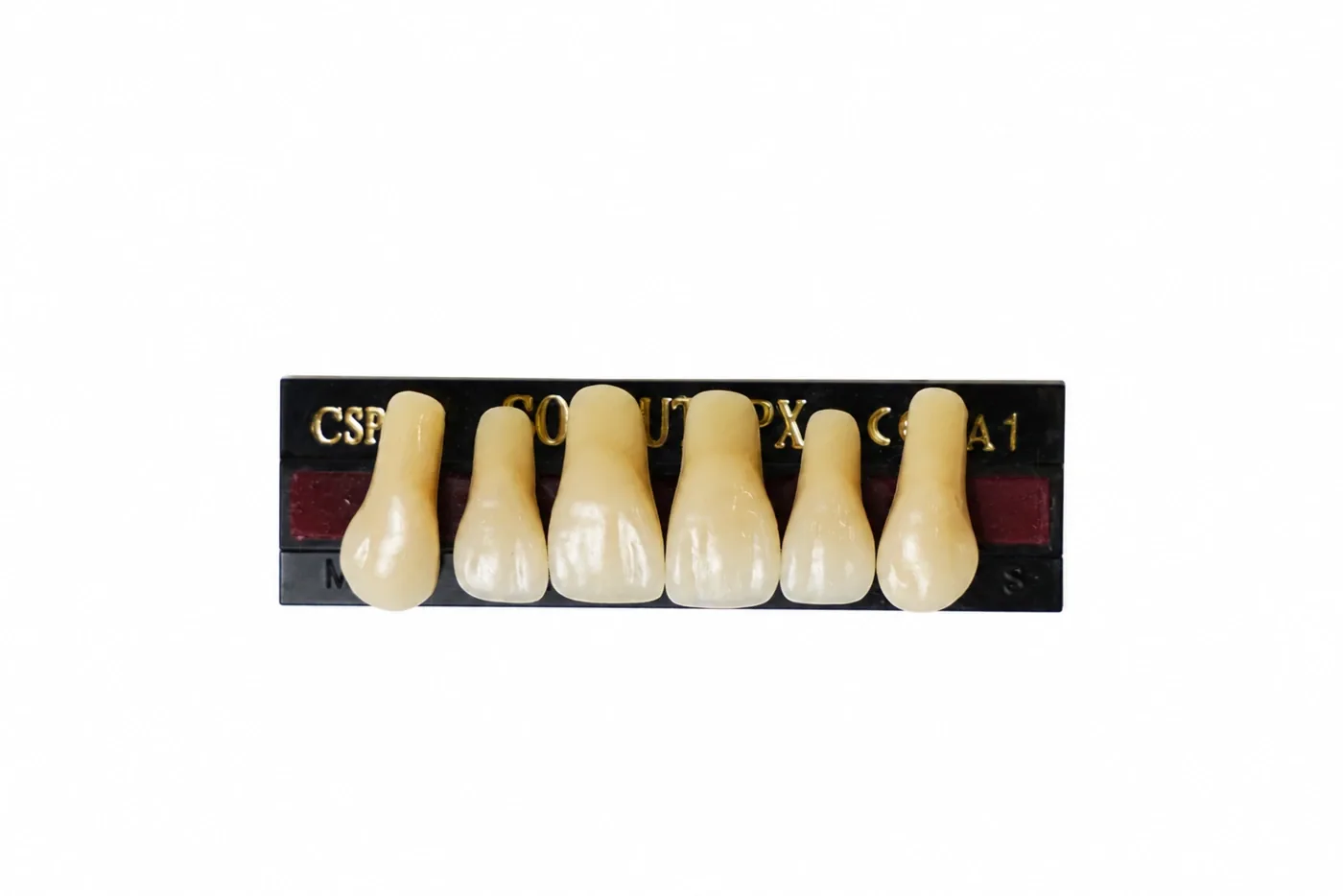 Dente Yamahachi Soluut — Anterior Superior CSP7