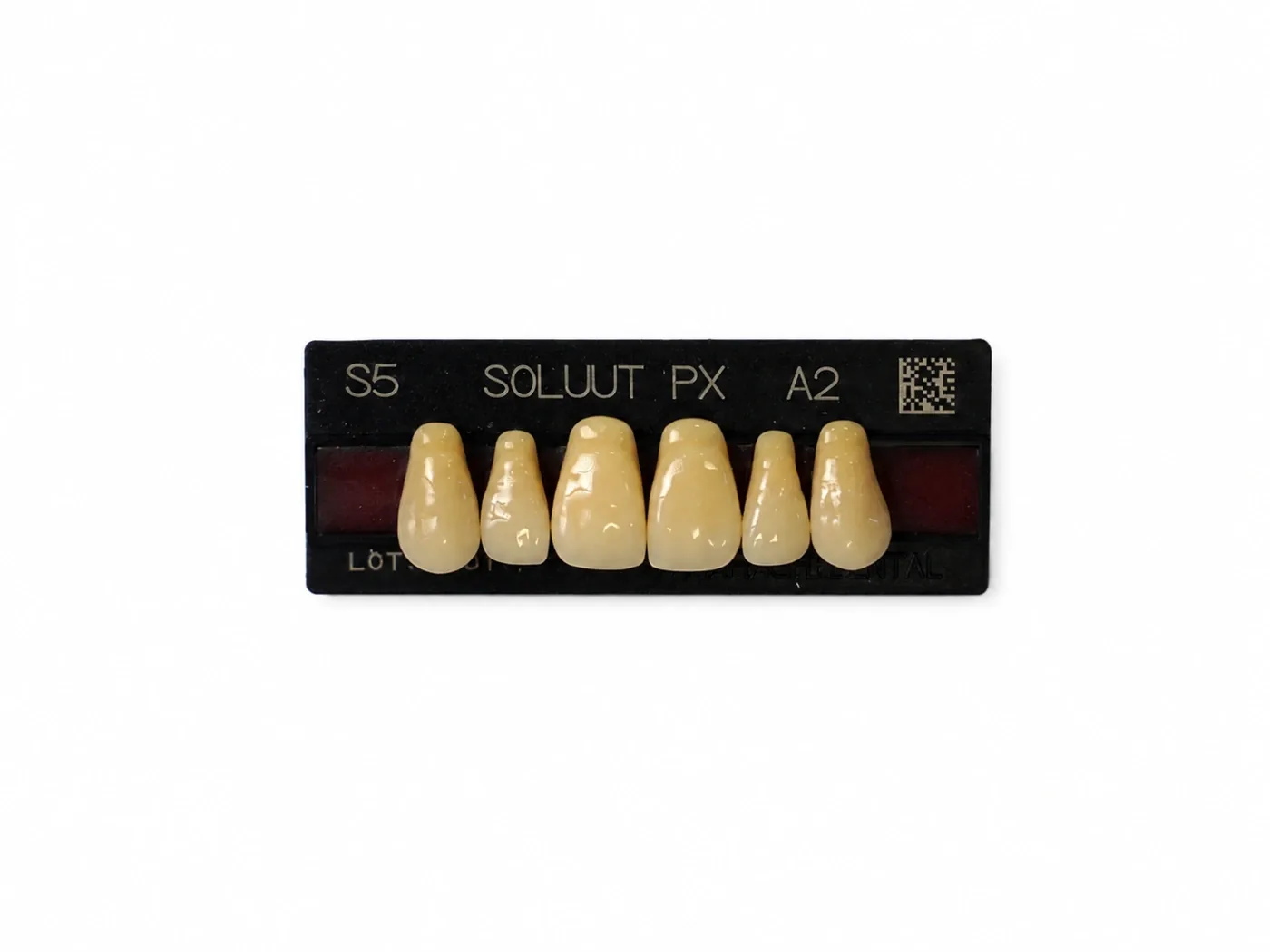 Dente Yamahachi Soluut — Anterior Superior S5