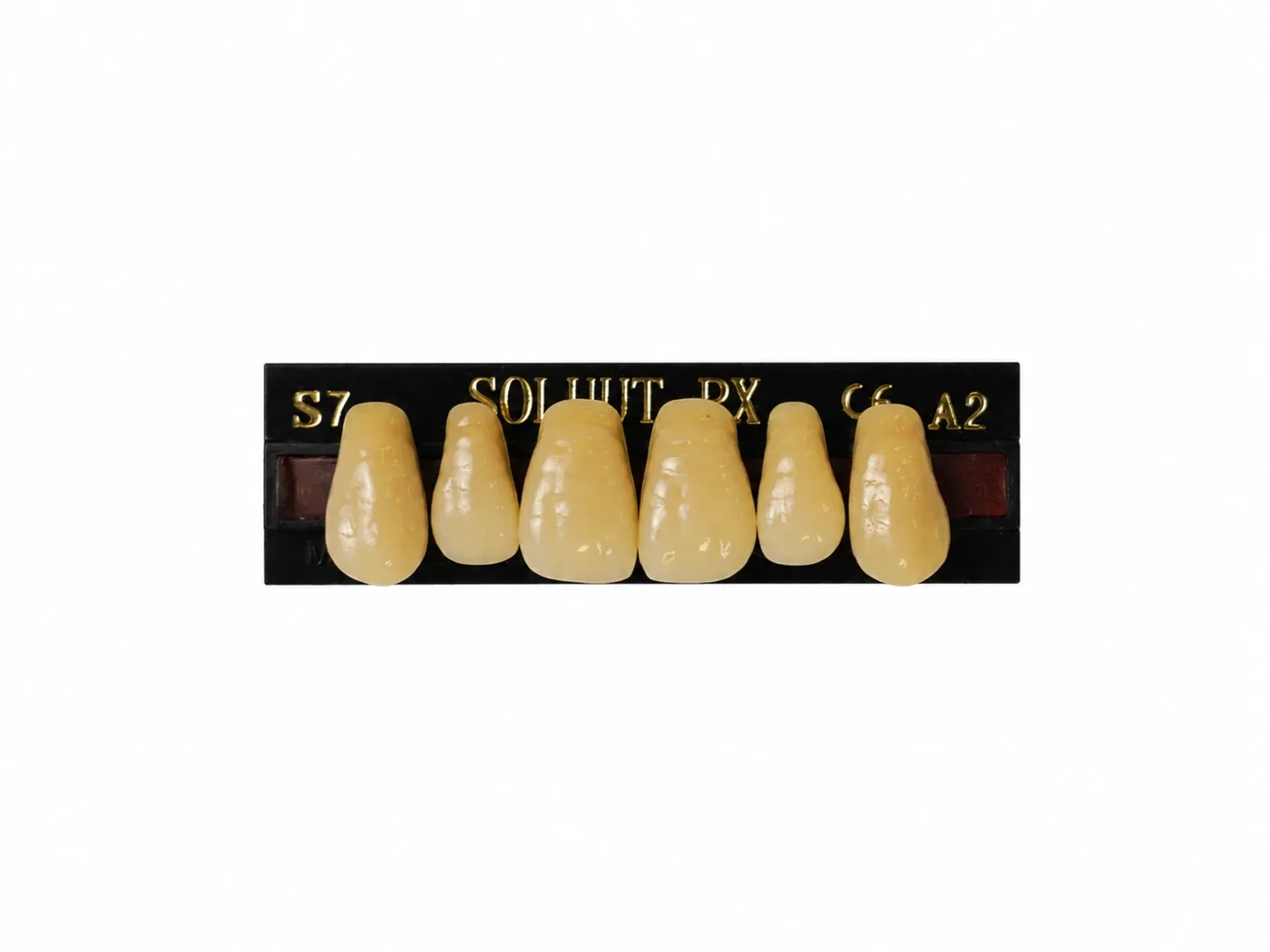 Dente Yamahachi Soluut — Anterior Superior S7