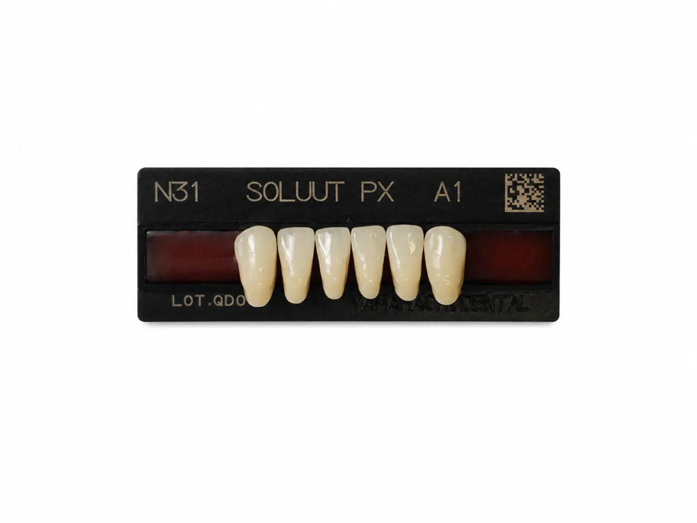 Dente Yamahachi Soluut — Anterior Inferior N31