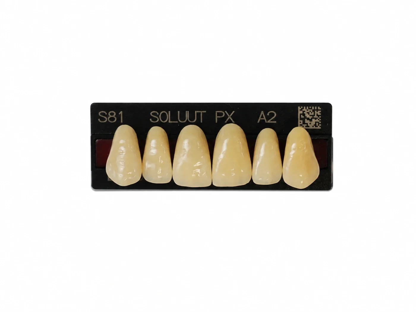 Dente Yamahachi Soluut — Anterior Superior S81