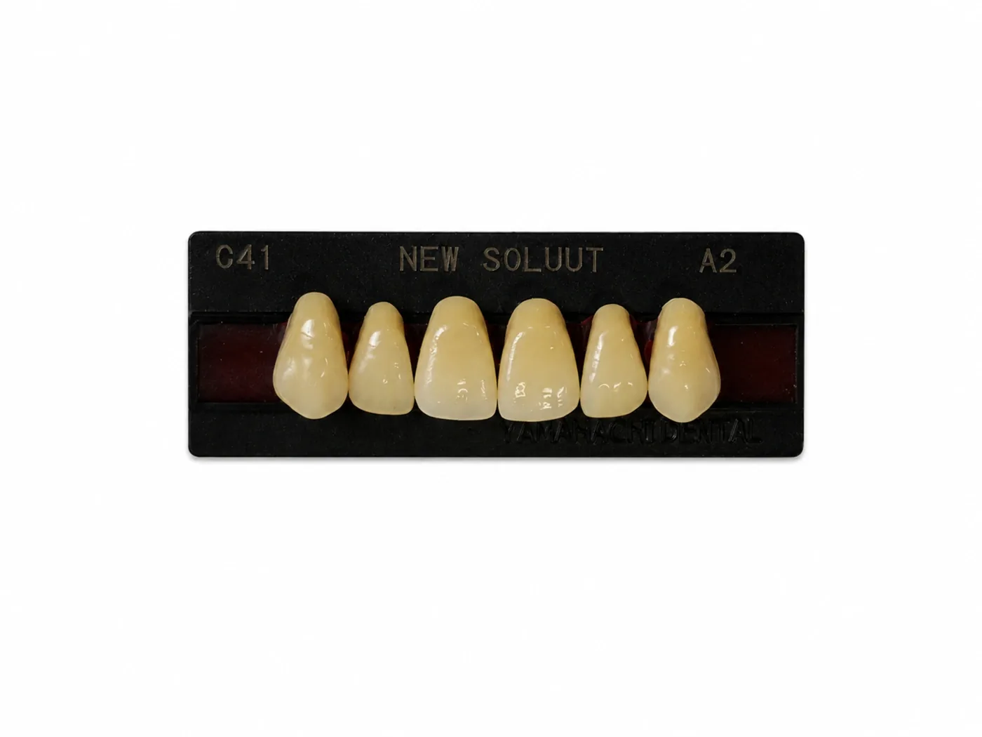 Dente Yamahachi Soluut — Anterior Superior C41