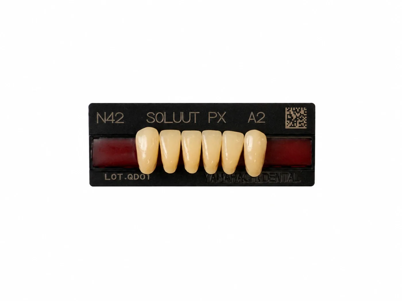 Dente Yamahachi Soluut — Anterior Inferior N42