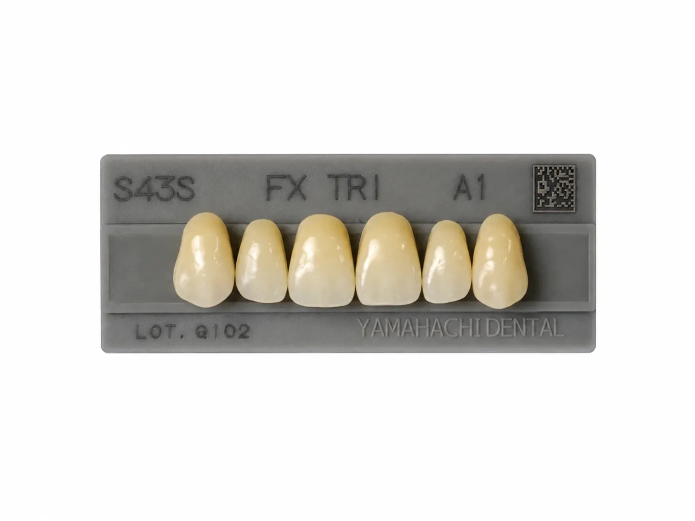 Dente Yamahachi FX TRI — Anterior Superior S43S