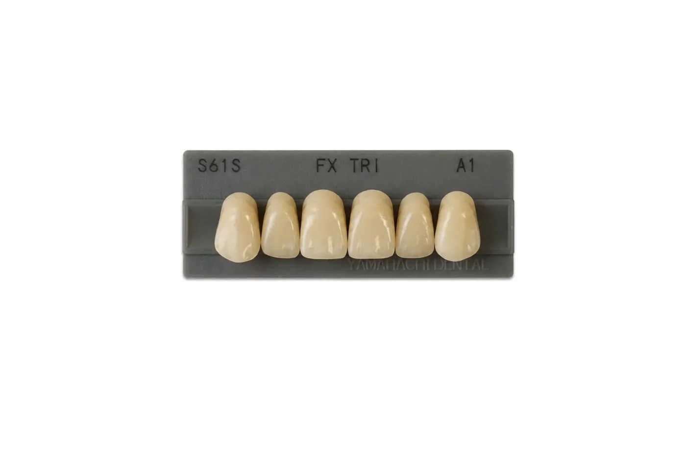 Dente Yamahachi FX TRI — Anterior Superior S61S