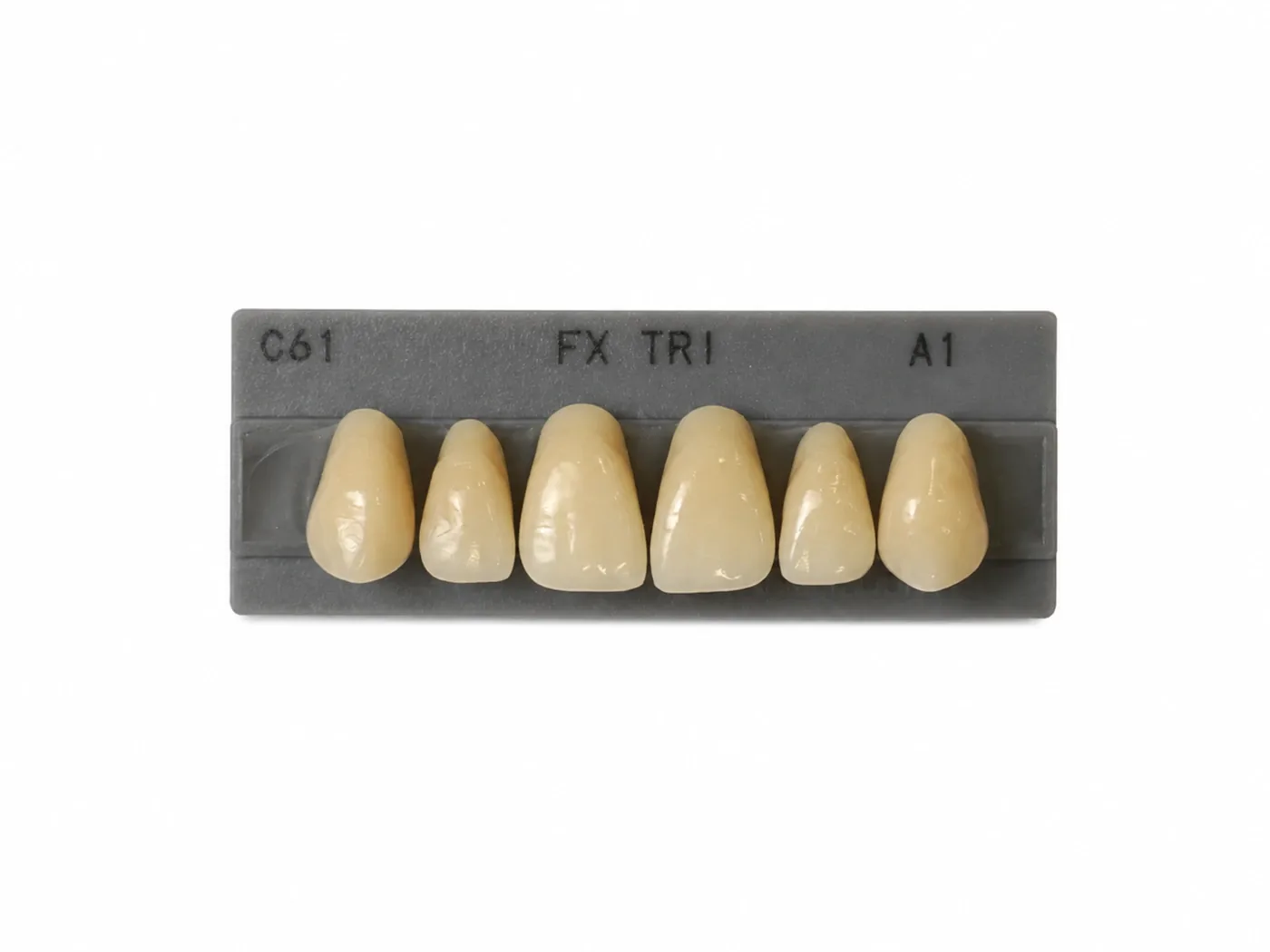 Dente Yamahachi FX TRI — Anterior Superior C61