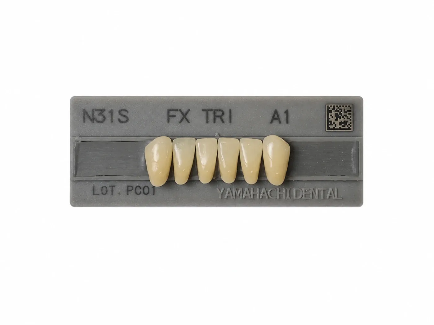 Dente Yamahachi FX TRI — Anterior Inferior N31S