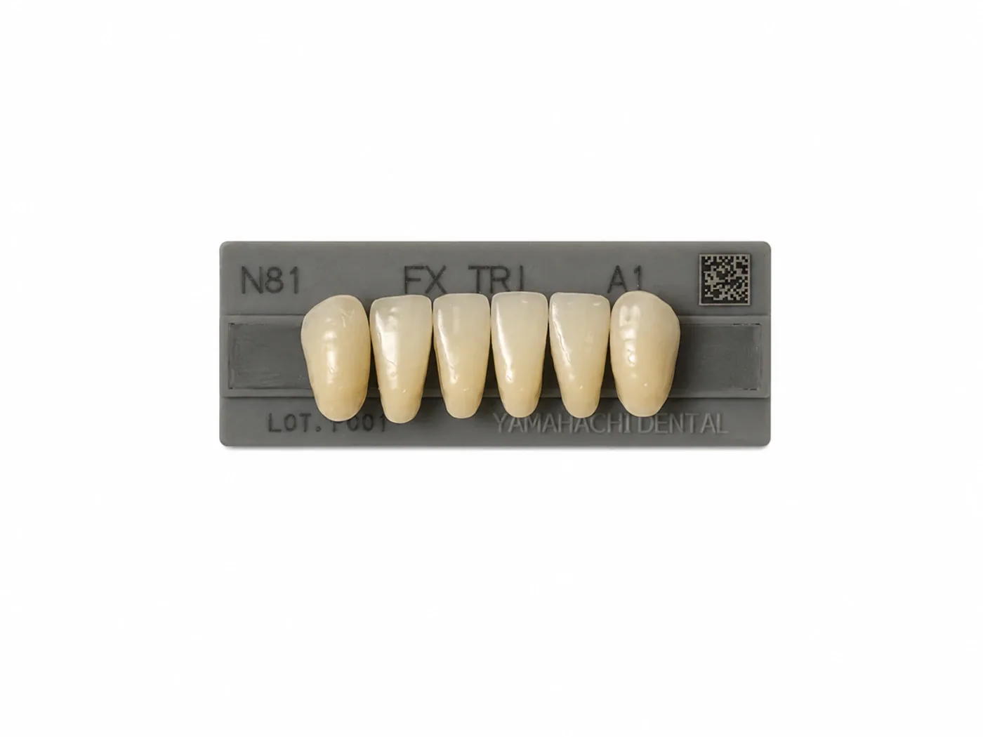 Dente Yamahachi FX TRI — Anterior Inferior N81