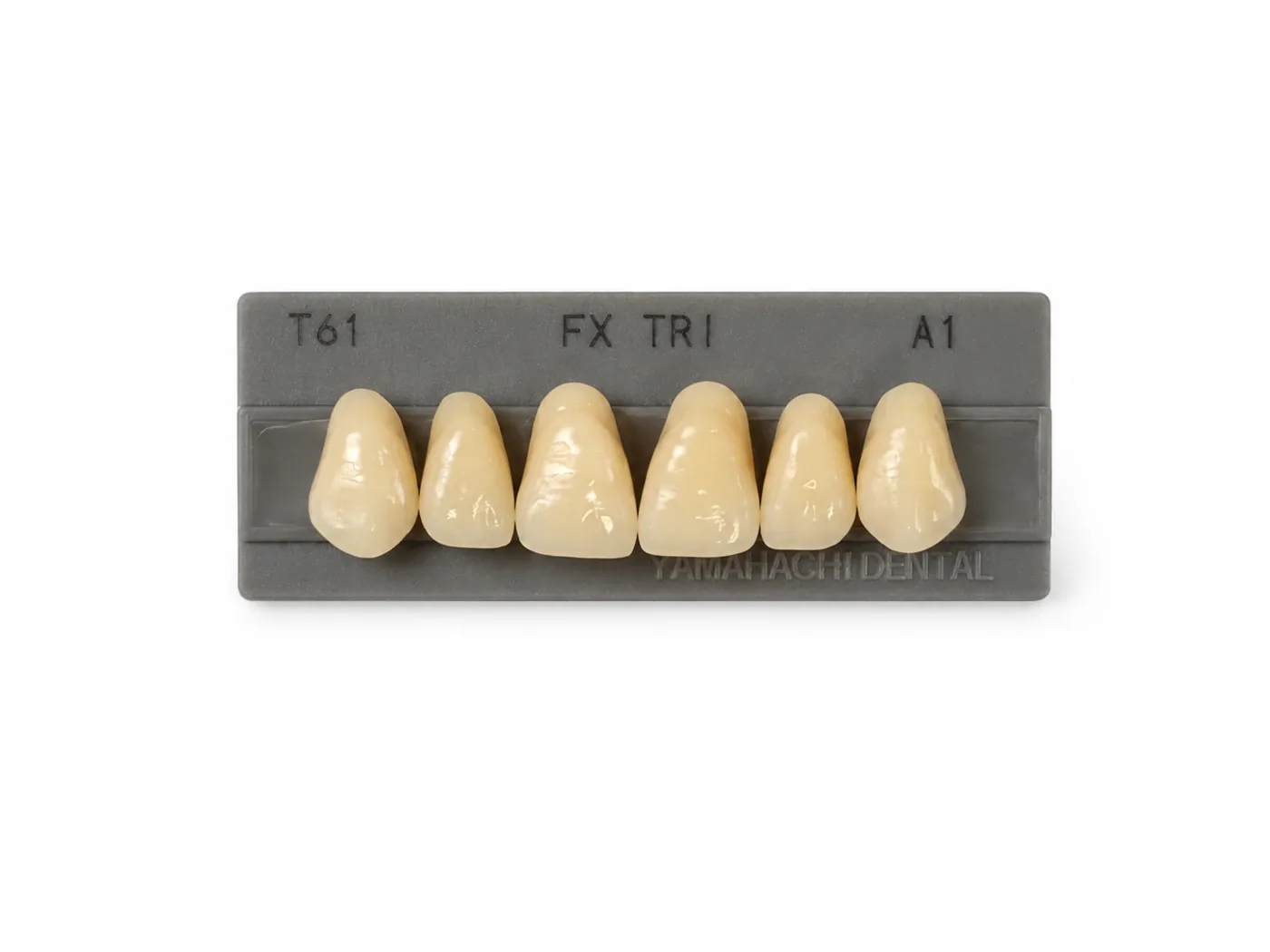 Dente Yamahachi FX TRI — Anterior Superior T61