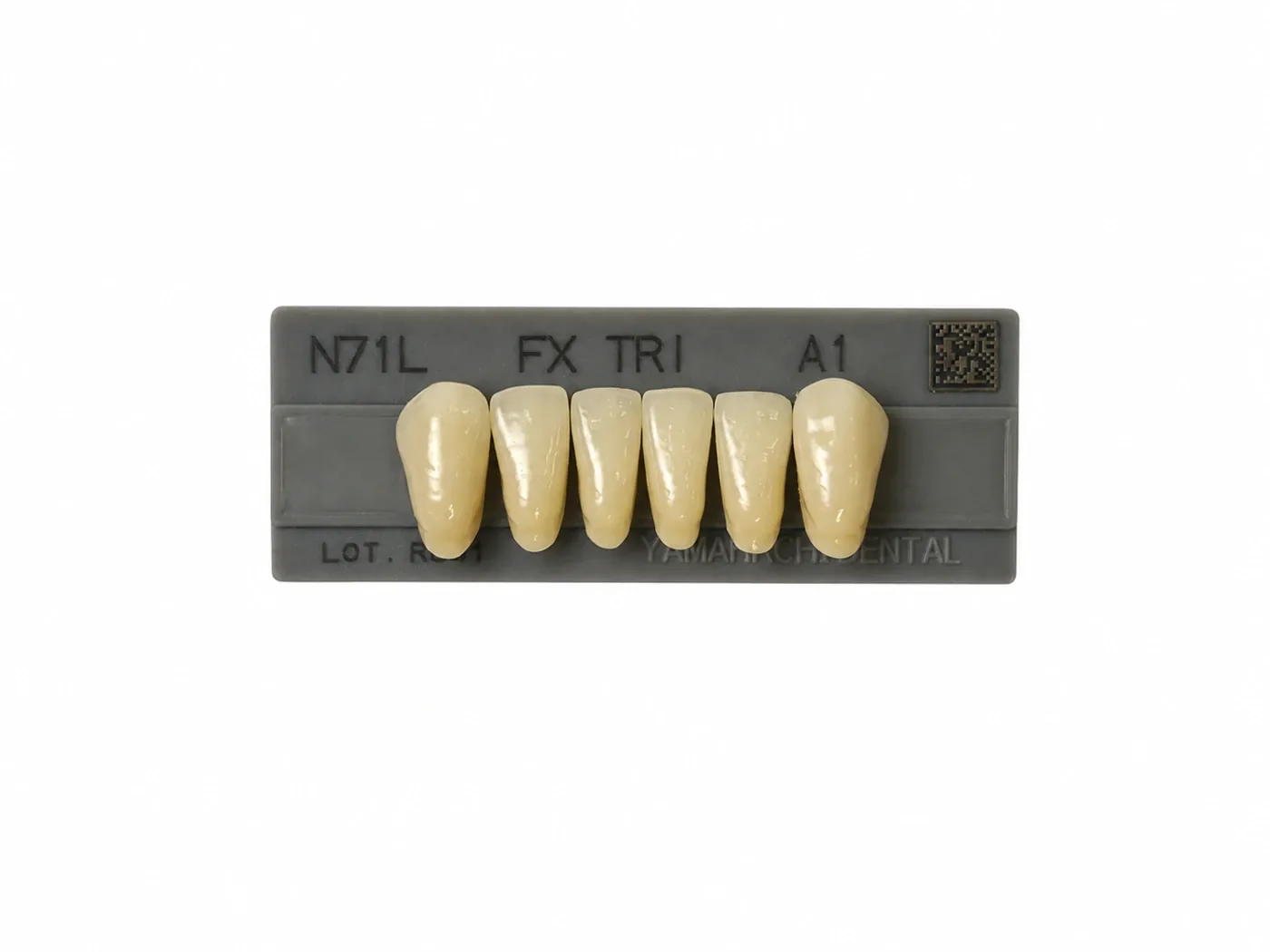 Dente Yamahachi FX TRI — Anterior Inferior N71L
