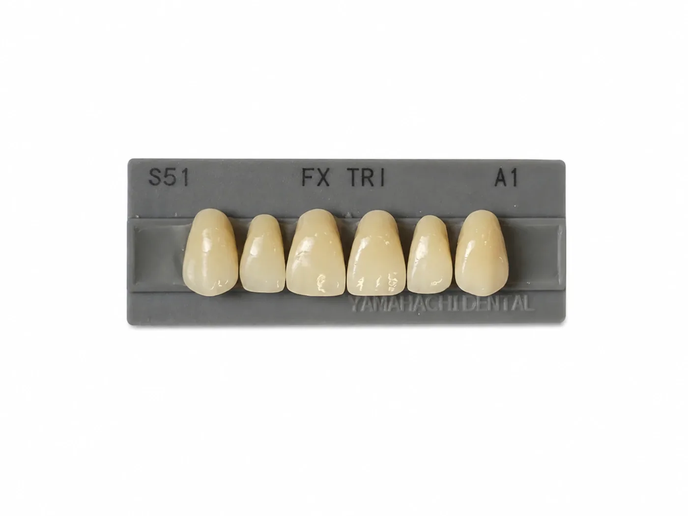 Dente Yamahachi FX TRI — Anterior Superior S51