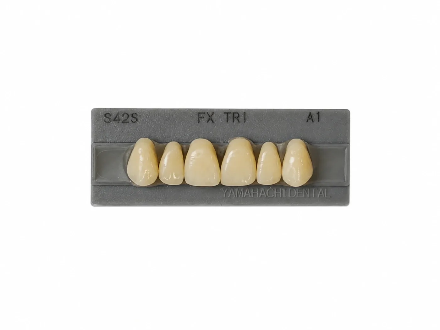 Dente Yamahachi FX TRI — Anterior Superior S42S