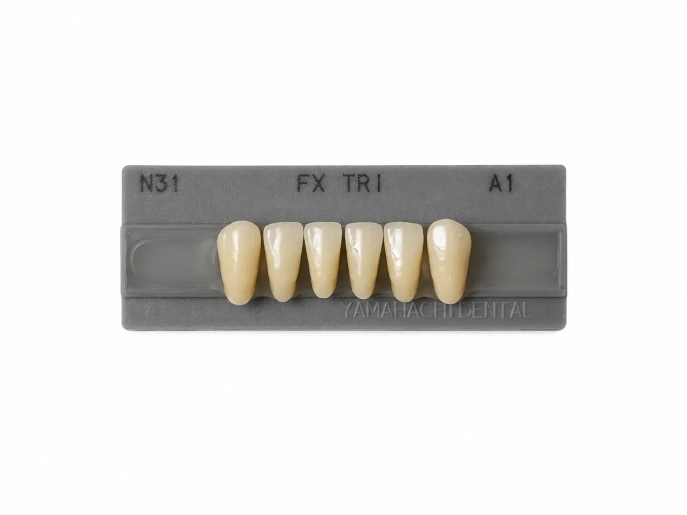 Dente Yamahachi FX TRI — Anterior Inferior N31