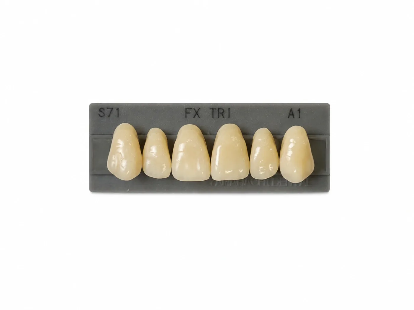 Dente Yamahachi FX TRI — Anterior Superior S71