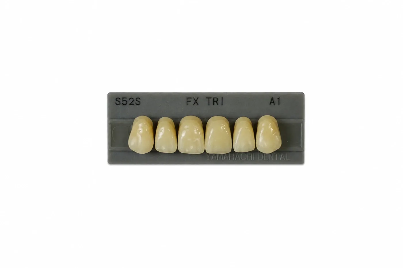 Dente Yamahachi FX TRI — Anterior Superior S52S