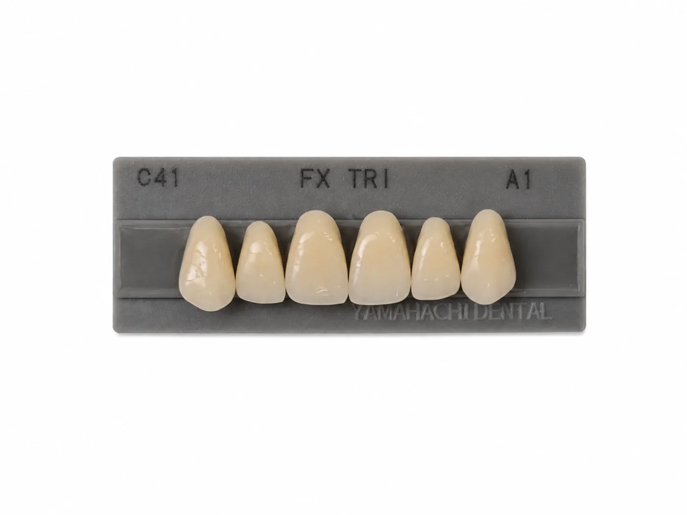 Dente Yamahachi FX TRI — Anterior Superior C41