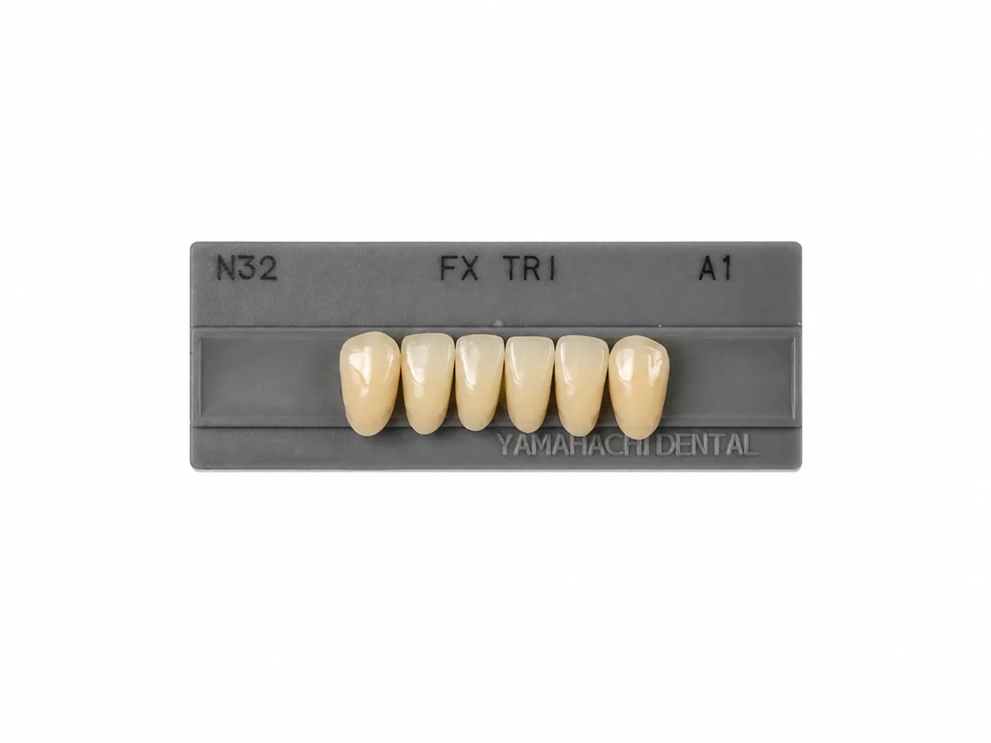 Dente Yamahachi FX TRI — Anterior Inferior N32