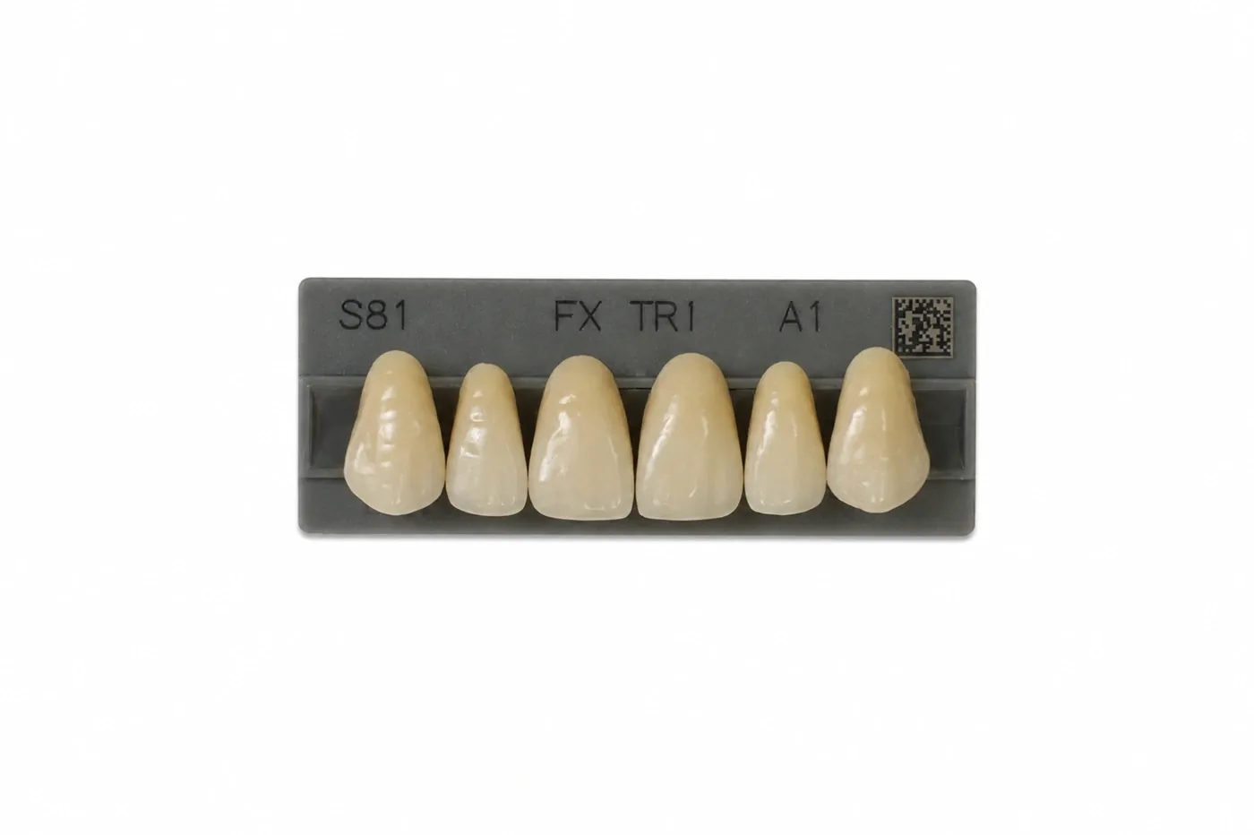 Dente Yamahachi FX TRI — Anterior Superior S81