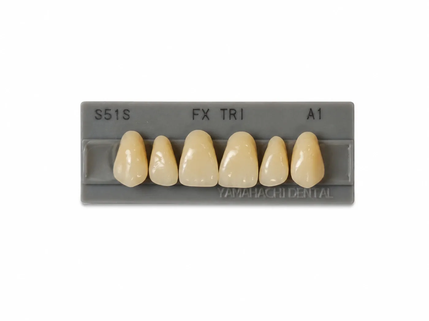 Dente Yamahachi FX TRI — Anterior Superior S51S
