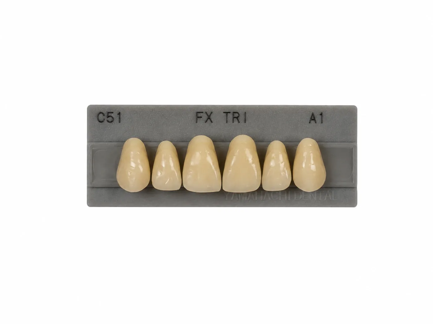 Dente Yamahachi FX TRI — Anterior Superior C51