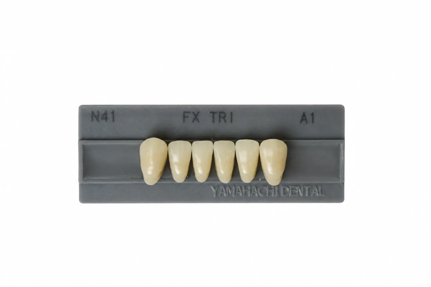 Dente Yamahachi FX TRI — Anterior Inferior N41