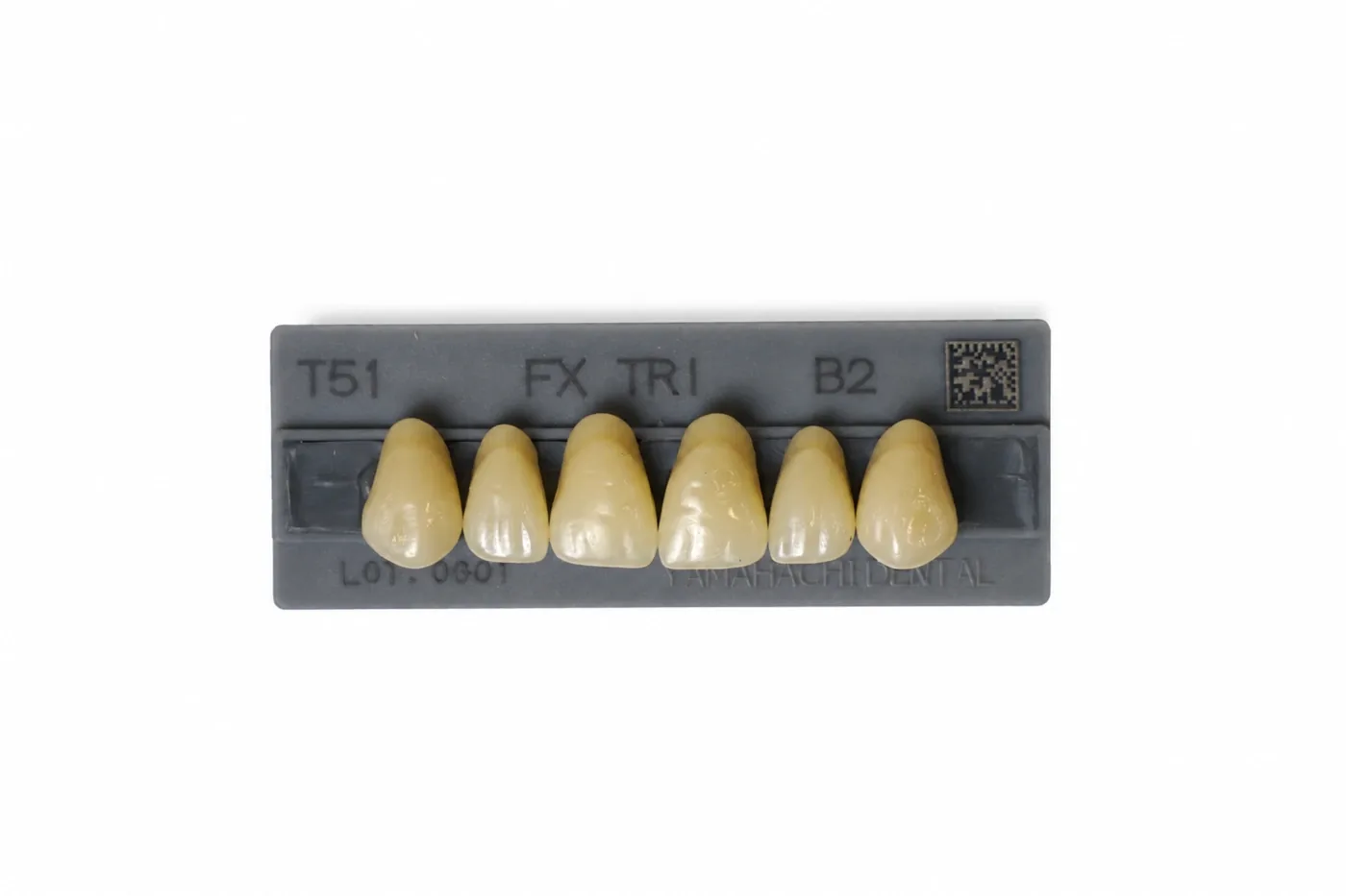 Dente Yamahachi FX TRI — Anterior Superior T51