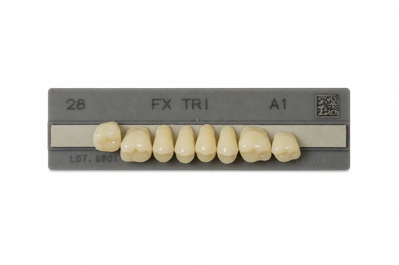 Dente Yamahachi FX TRI — Posterior Superior M28U