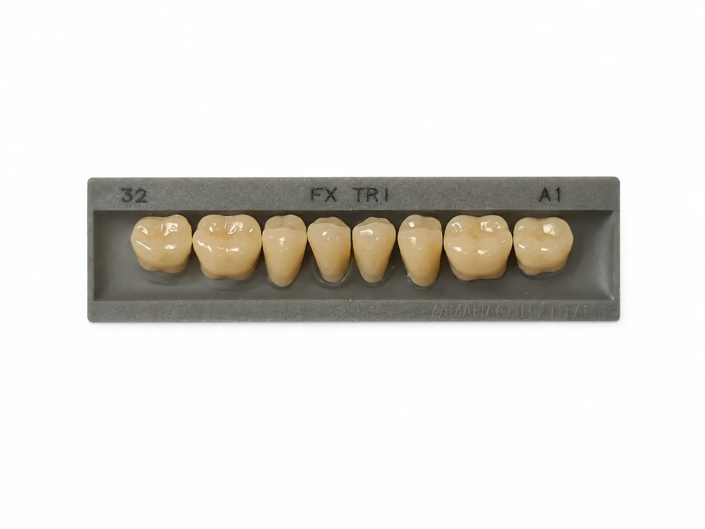 Dente Yamahachi FX TRI — Posterior Superior M32U