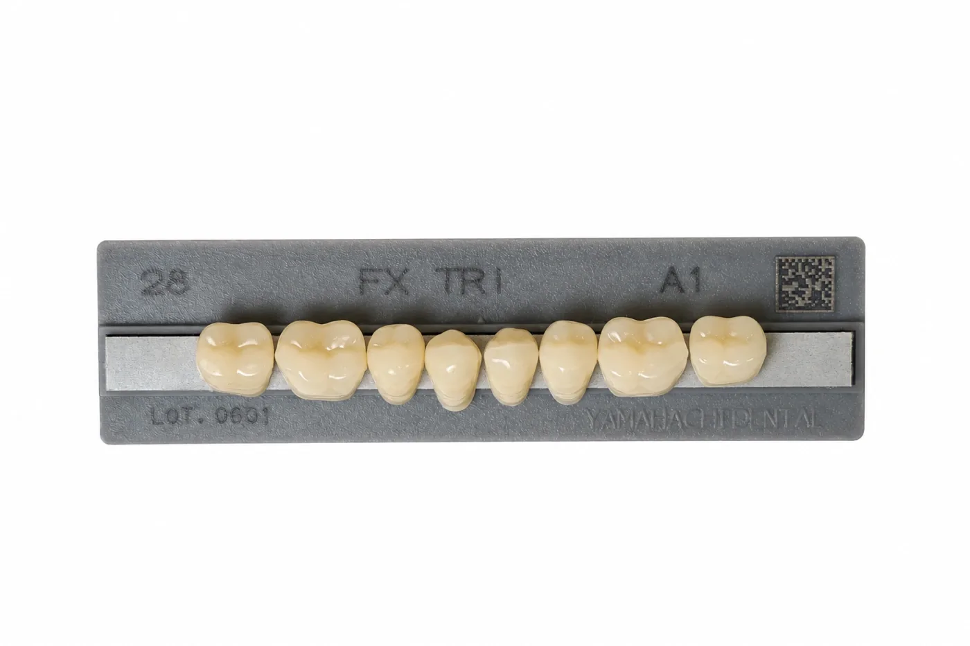 Dente Yamahachi FX TRI — Posterior Inferior M28L