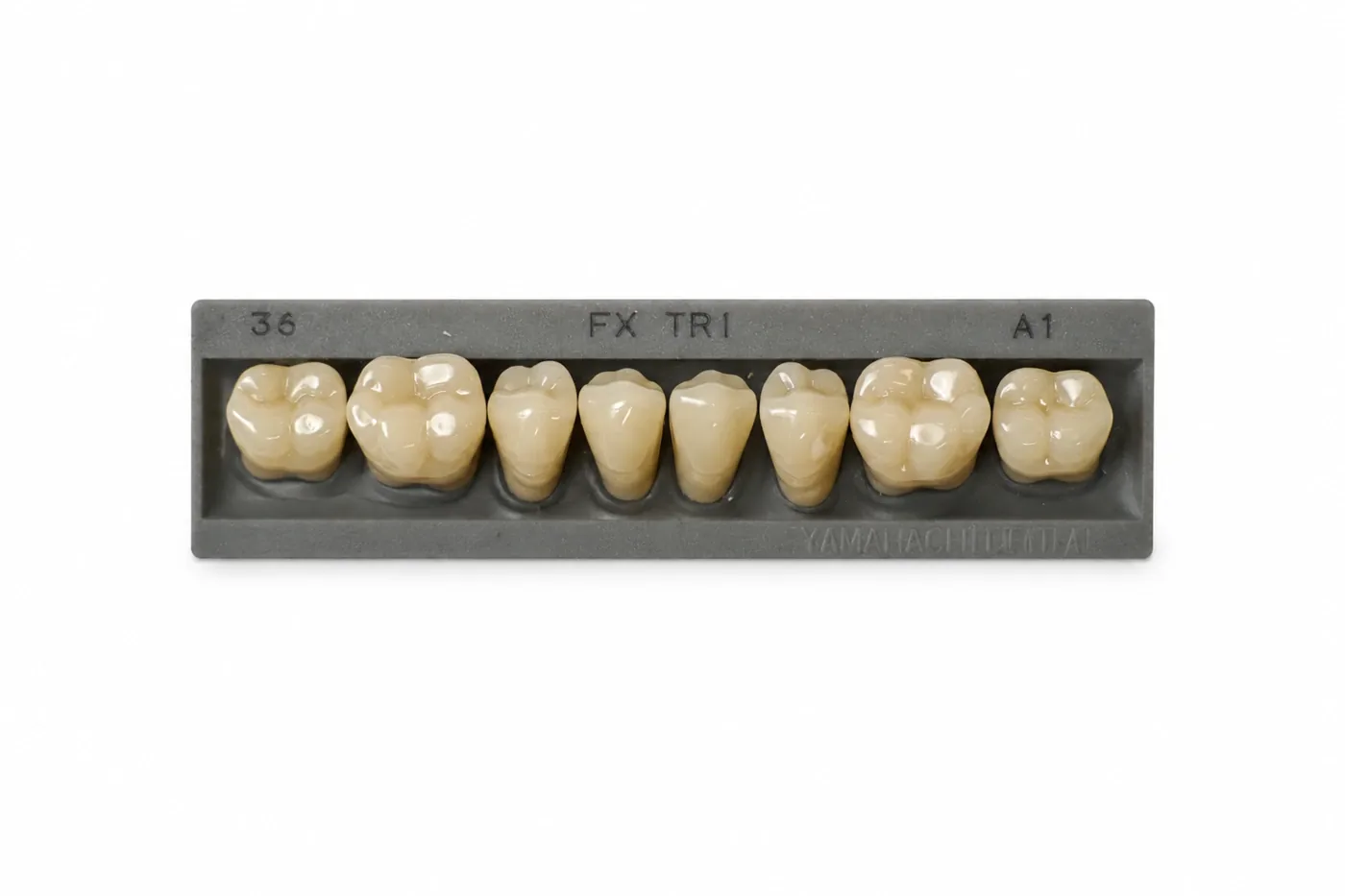 Dente Yamahachi FX TRI — Posterior Inferior M36L