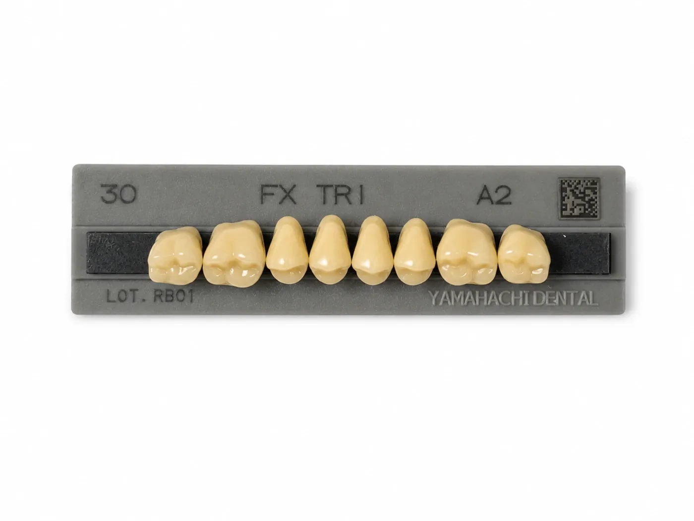 Dente Yamahachi FX TRI — Posterior Superior M30U