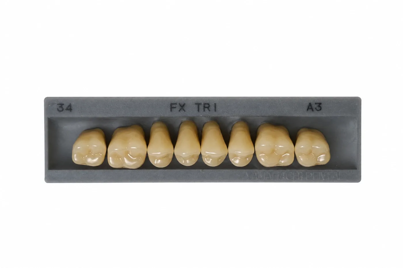 Dente Yamahachi FX TRI — Posterior Superior M34U